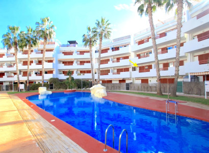 Apartment - Reventa - Playa Flamenca - Playa Flamenca