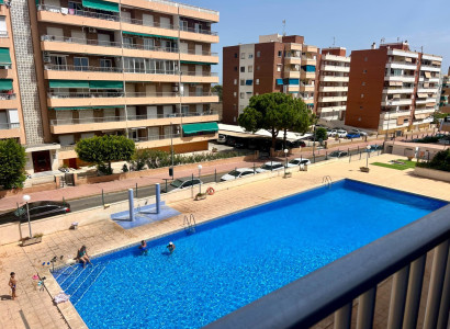 Apartment - Sale - Torrevieja - Punta prima