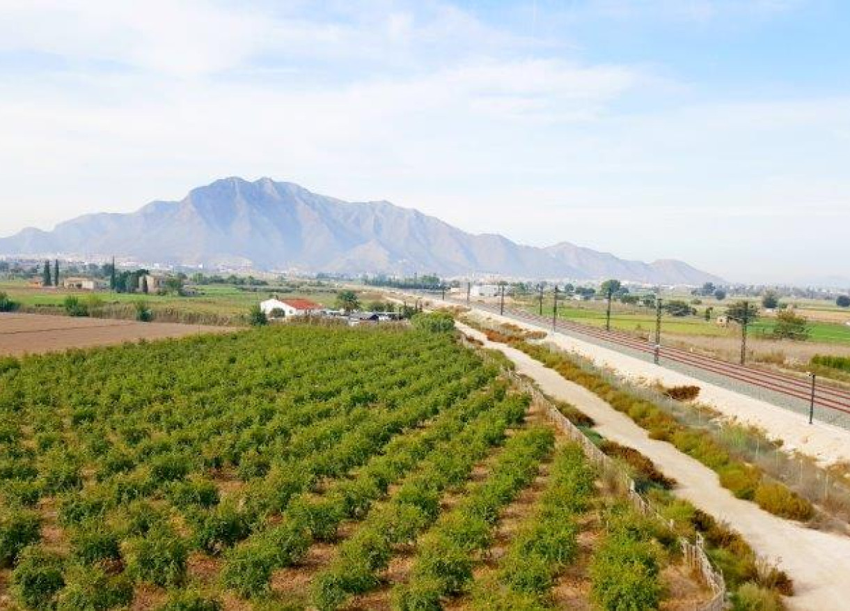 Finca · Rynek wtórny · Callosa De Segura · SM-42325