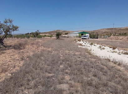 Land · Resale · Jumilla · Torre del Rico