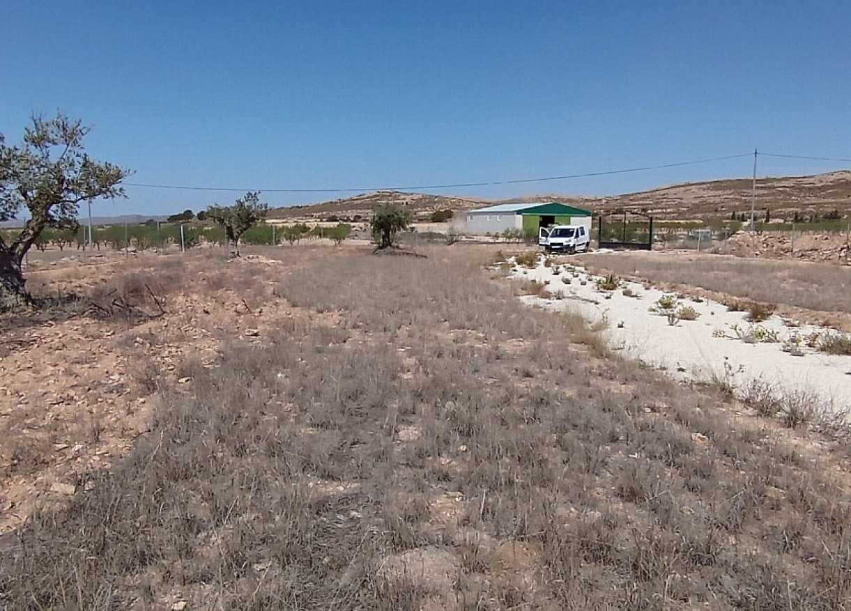 Land · Reventa · Jumilla · OL-14724