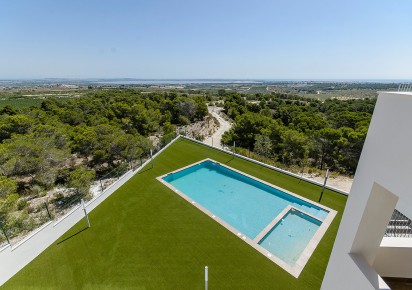 New Build · Apartments · San Miguel de Salinas