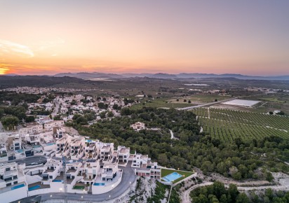 New Build · Apartments · San Miguel de Salinas