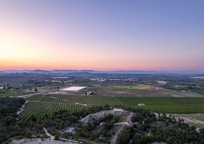 New Build · Apartments · San Miguel de Salinas