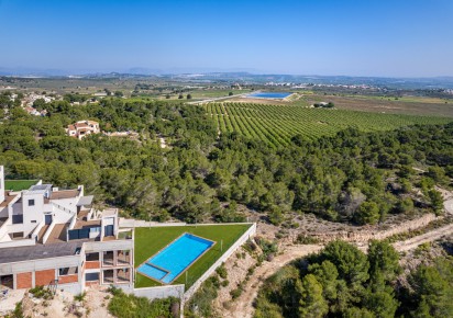 New Build · Apartments · San Miguel de Salinas