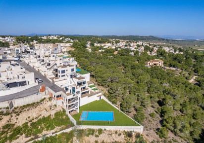 New Build · Apartments · San Miguel de Salinas
