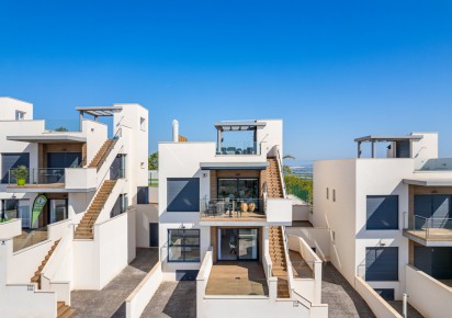 New Build · Apartments · San Miguel de Salinas