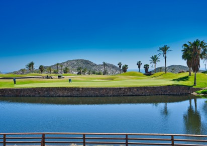 New Build · Penthouses · Pulpí