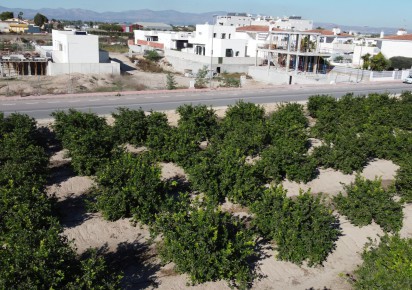 New Build · Villas · Daya Nueva