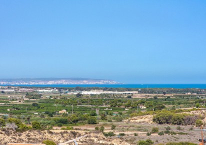 New Build · Villas · Rojales