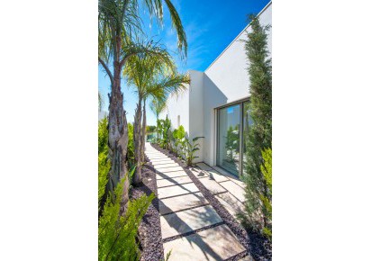 New Build · Villas · San Miguel de Salinas