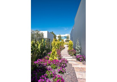 New Build · Villas · San Miguel de Salinas