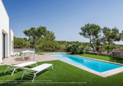 New Build · Villas · San Miguel de Salinas