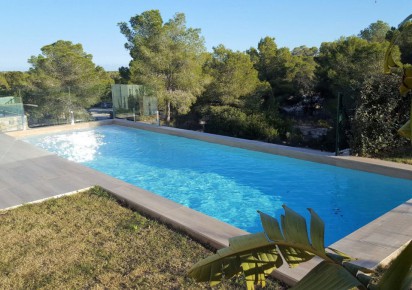 New Build · Villas · San Miguel de Salinas