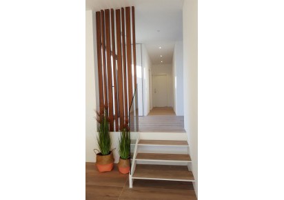 New Build · Villas · San Miguel de Salinas