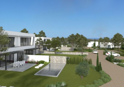 New Build · Villas · San Miguel de Salinas