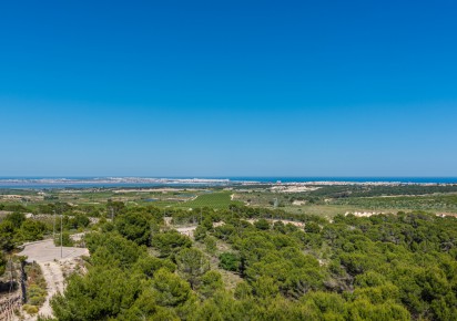 New Build · Villas · San Miguel de Salinas
