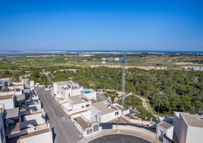 New Build · Villas · San Miguel de Salinas