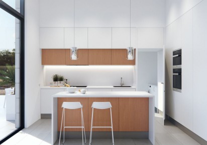 New Build · Villas · San Miguel de Salinas