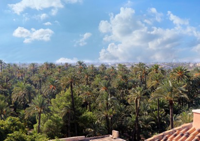 Nueva construcción  · APARTAMENTO PLANTA BAJA · Elche