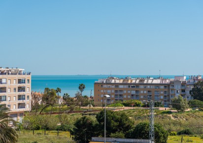 Nueva construcción  · Bungalow · Guardamar del Segura · guardamar del segura