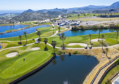 Nueva construcción  · Penthouses · Pulpí