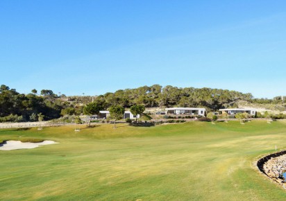 Nueva construcción  · Villas · San Miguel de Salinas