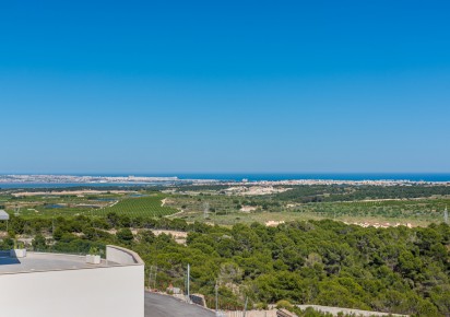 Nueva construcción  · Villas · San Miguel de Salinas