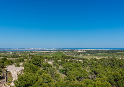 Nueva construcción  · Villas · San Miguel de Salinas