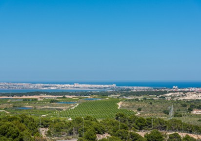 Nueva construcción  · Villas · San Miguel de Salinas