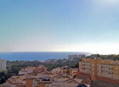 Penthouses - Nueva construcción  - Dehesa de Campoamor - CAMPOAMOR