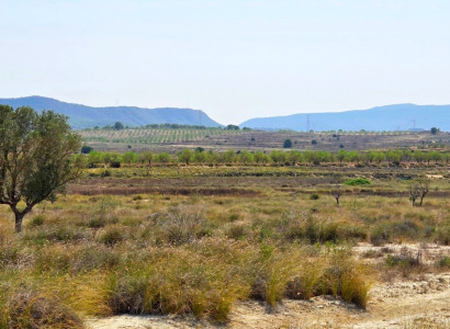 Plot / Land - Rynek wtórny - San Miguel de Salinas - San Miguel de Salinas