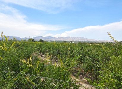 Plot / Land · Sale · San Isidro · San Isidro