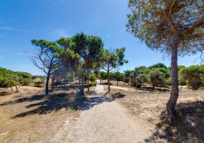 Resale · Apartment · Guardamar del Segura · Pinomar