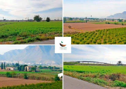 Resale · Finca · Callosa De Segura