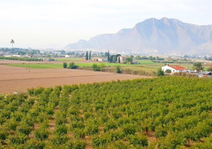 Resale · Finca · Callosa De Segura
