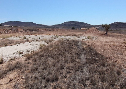 Resale · Land · Jumilla · Torre del Rico