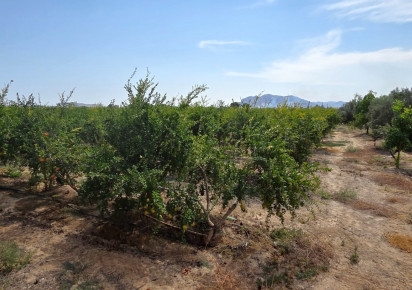 Resale · Plot / Land · San Isidro