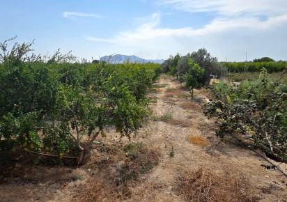 Resale · Plot / Land · San Isidro