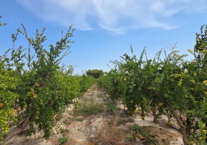 Resale · Plot / Land · San Isidro