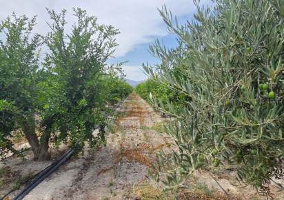 Resale · Plot / Land · San Isidro