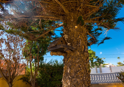 Resale · Villa · La Siesta - El Salado - Torreta · La Siesta