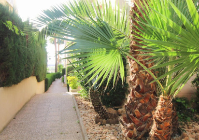 Reventa · APARTAMENTO · Torrevieja · La Veleta