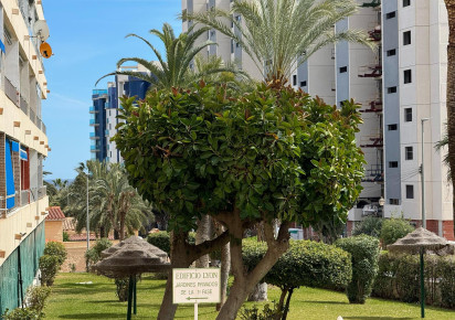 Reventa · APARTAMENTO · Torrevieja · Punta Prima