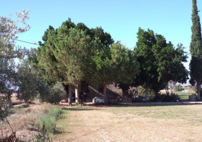 Reventa · Finca · Callosa De Segura