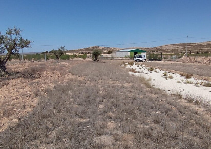 Reventa · Land · Jumilla · Torre del Rico