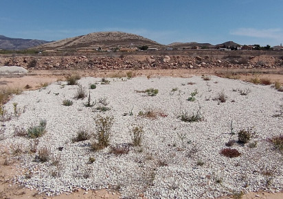 Reventa · Land · Jumilla · Torre del Rico