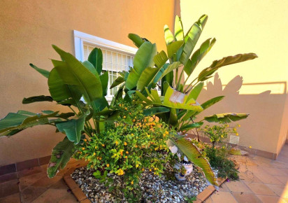 Reventa · Villa · Dehesa de campoamor · Campoamor
