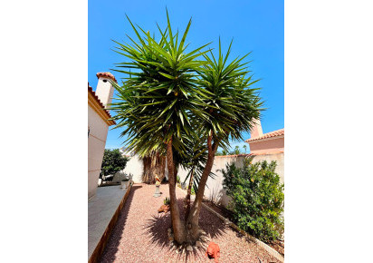 Reventa · - VILLA · Torrevieja · Urbanización San Luis