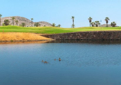 Rynek pierwotny · Apartments · Pulpí